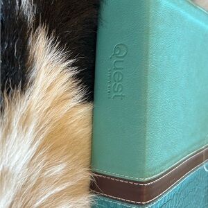 Quest Study Bible Turquoise Brown Silver